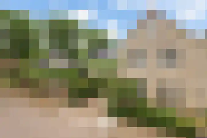 Vockemaet 62 Westervoort thumbnail 5