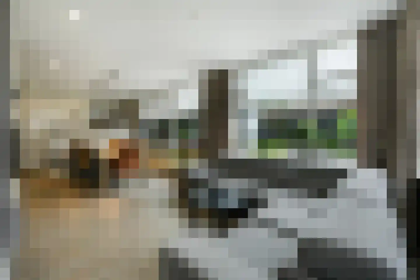 Voederheil 10 Zeeland thumbnail 13