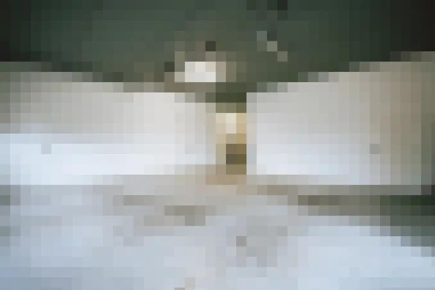 Voederheil 10 Zeeland thumbnail 44