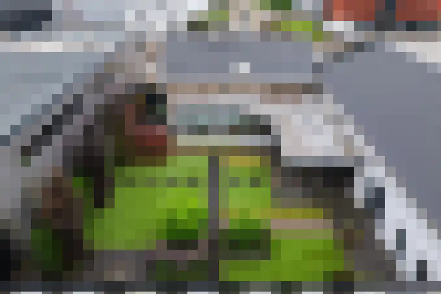 Voederheil 10 Zeeland thumbnail 8