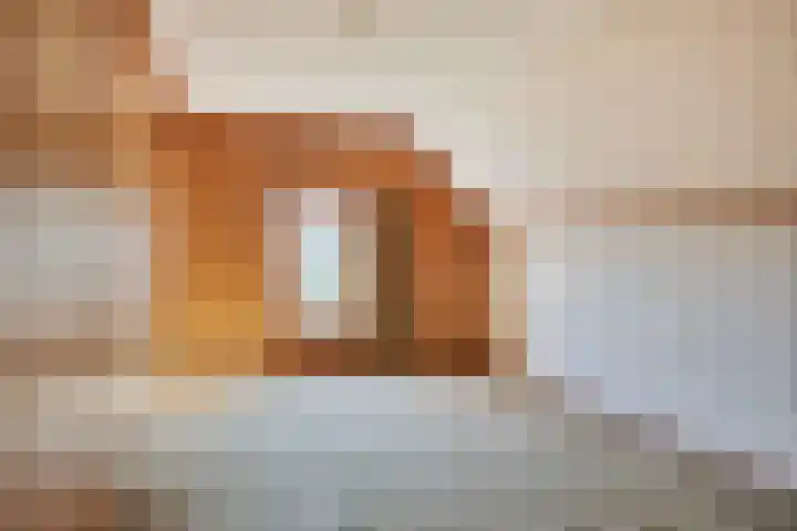 Voederheil 24 Zeeland thumbnail 33