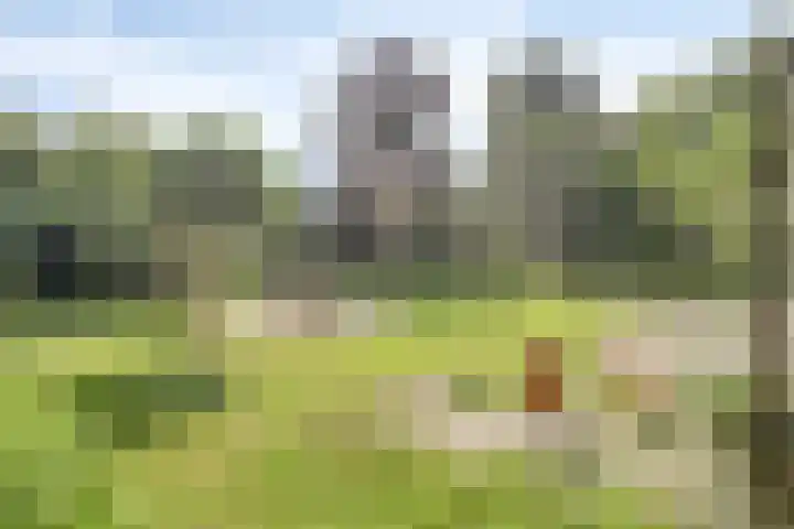 Voederheil 24 Zeeland thumbnail 47