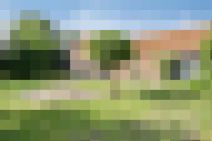 Voederheil 24 Zeeland thumbnail 48