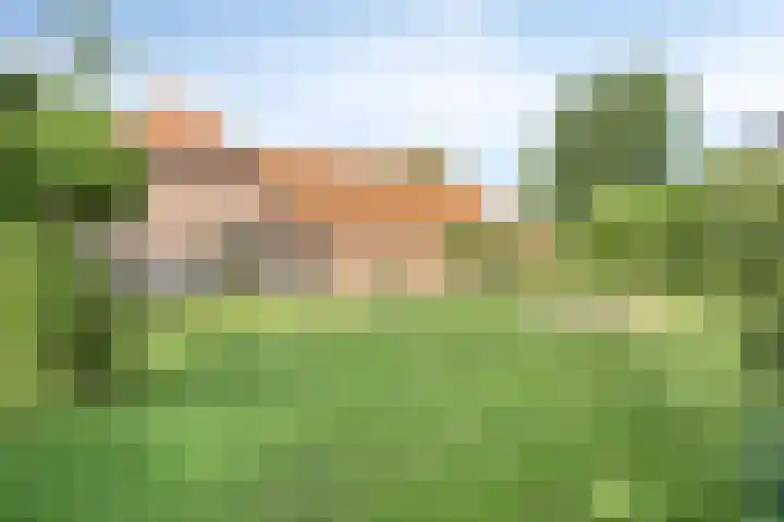Voederheil 24 Zeeland thumbnail 5