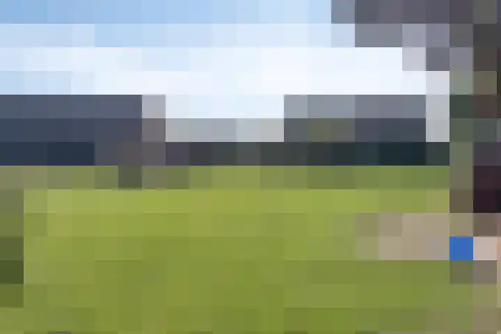 Voederheil 24 Zeeland thumbnail 53
