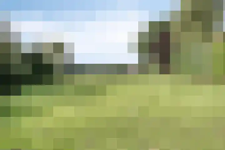 Voederheil 24 Zeeland thumbnail 54