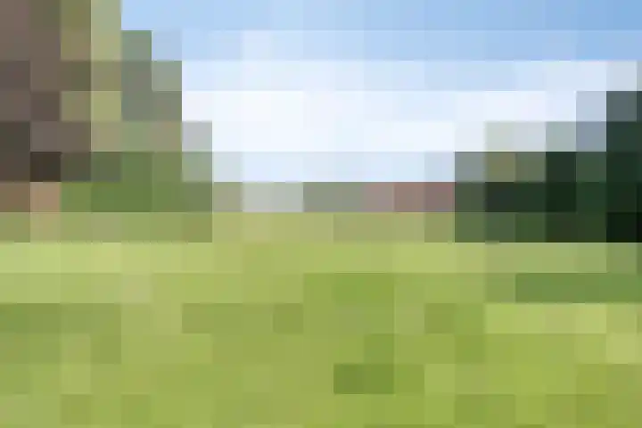 Voederheil 24 Zeeland thumbnail 55