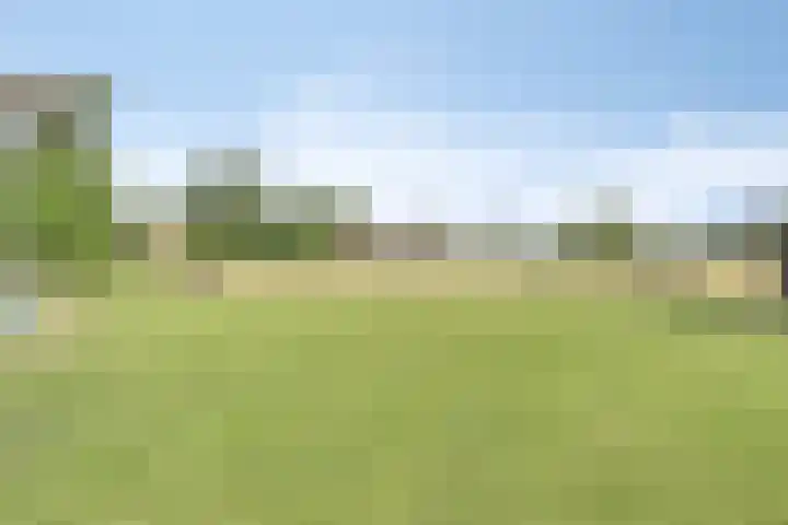 Voederheil 24 Zeeland thumbnail 56