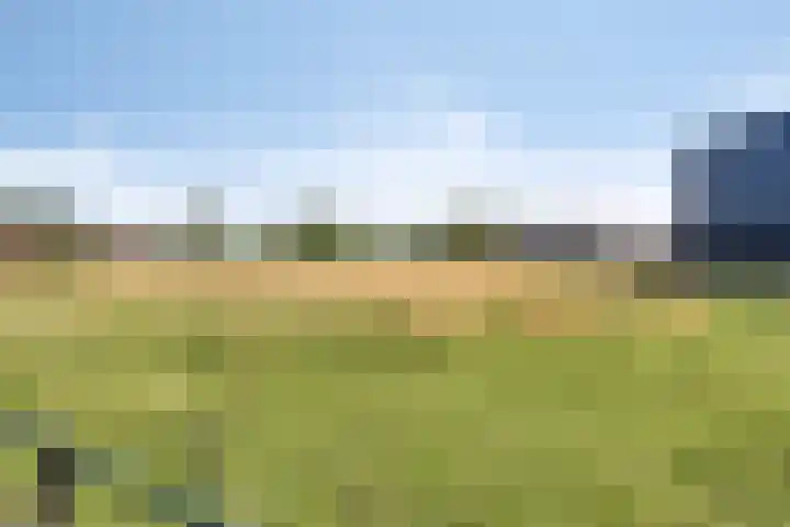 Voederheil 24 Zeeland thumbnail 57