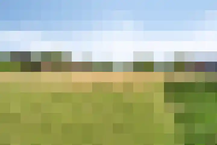 Voederheil 24 Zeeland thumbnail 59