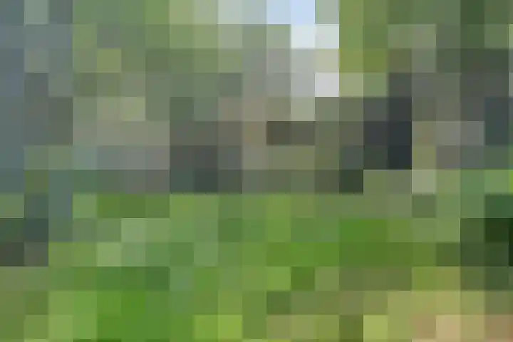 Voederheil 24 Zeeland thumbnail 60