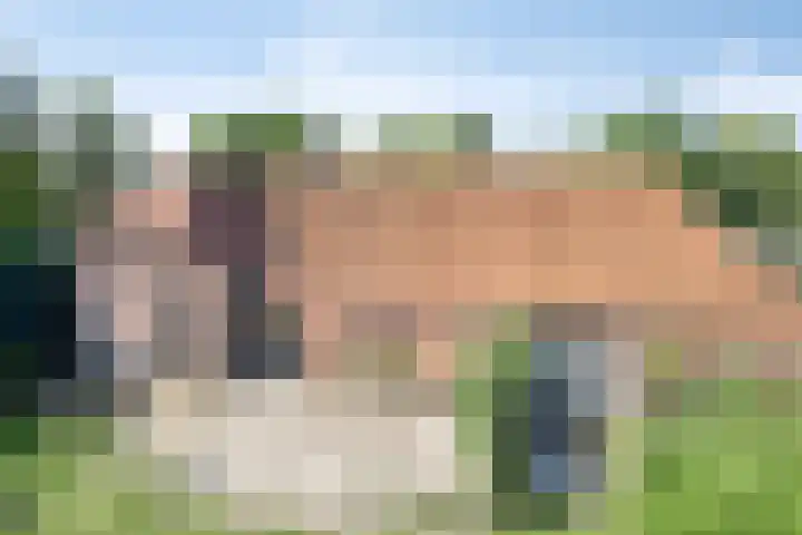 Voederheil 24 Zeeland thumbnail 61