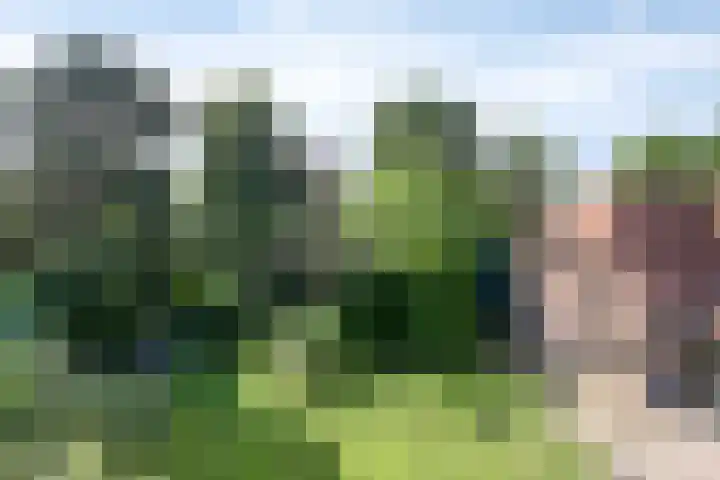 Voederheil 24 Zeeland thumbnail 62