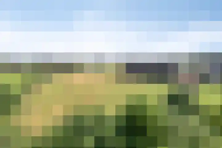 Voederheil 24 Zeeland thumbnail 63