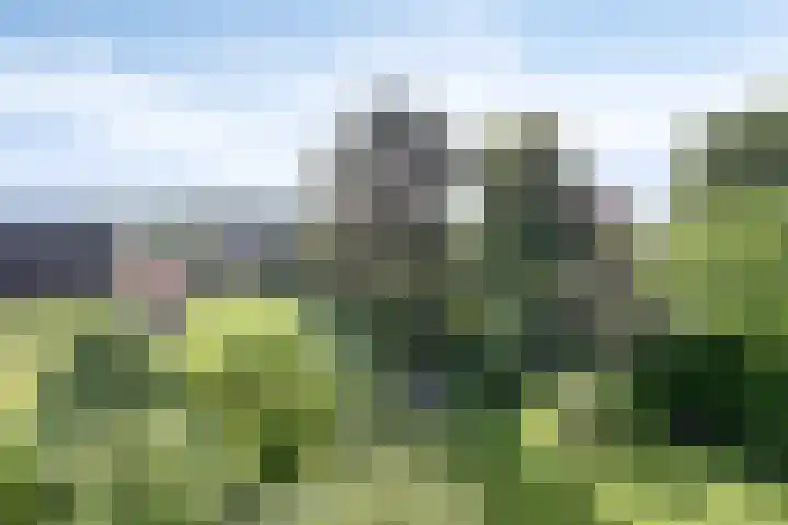 Voederheil 24 Zeeland thumbnail 64