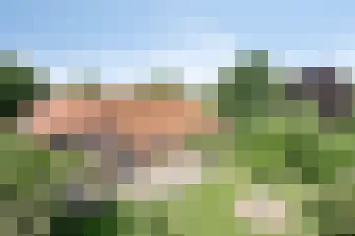 Voederheil 24 Zeeland thumbnail 65