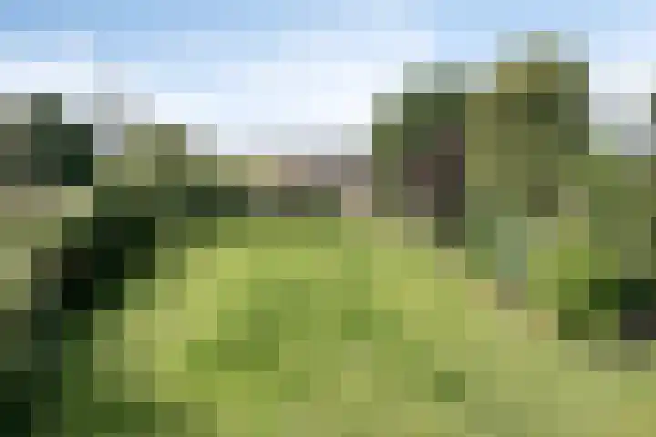 Voederheil 24 Zeeland thumbnail 66