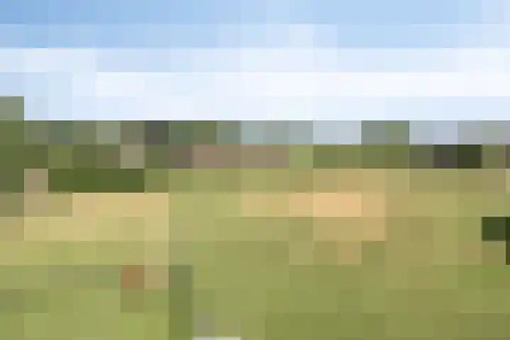 Voederheil 24 Zeeland thumbnail 67
