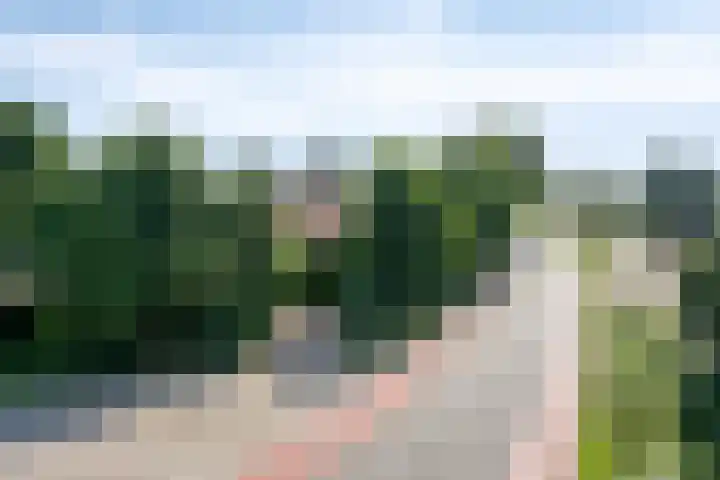 Voederheil 24 Zeeland thumbnail 68