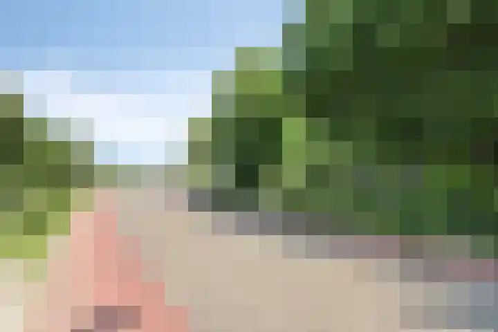 Voederheil 24 Zeeland thumbnail 69