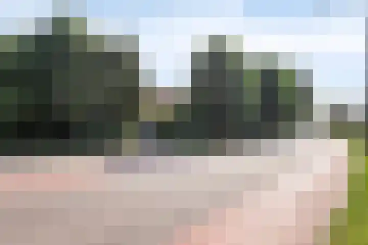 Voederheil 24 Zeeland thumbnail 70