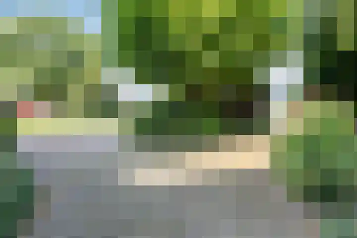 Voederheil 24 Zeeland thumbnail 71