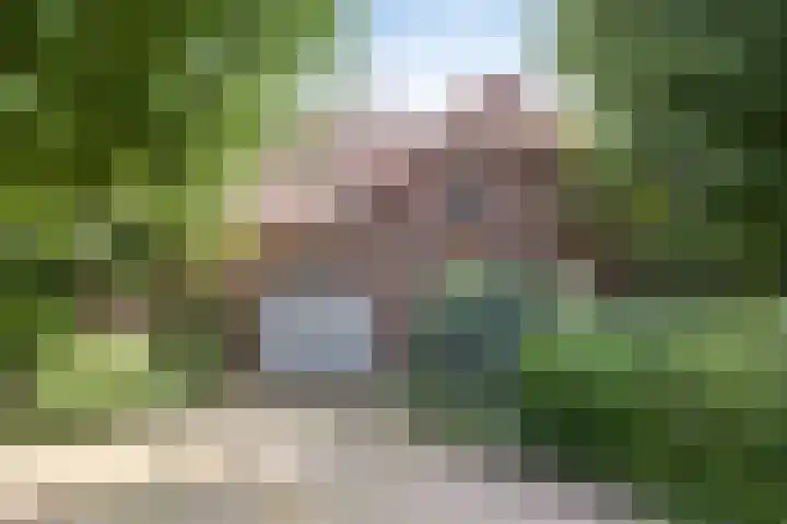 Voederheil 24 Zeeland thumbnail 72
