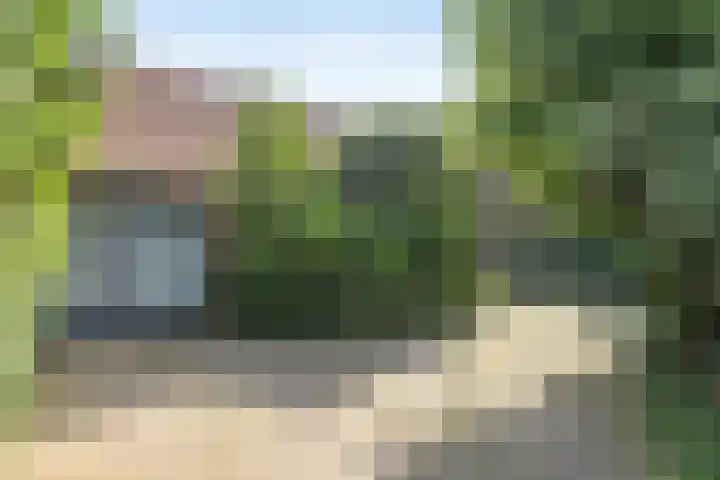 Voederheil 24 Zeeland thumbnail 74