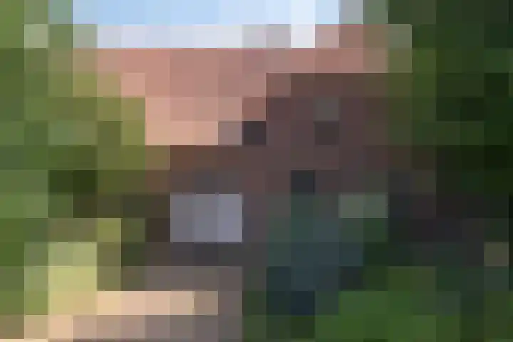 Voederheil 24 Zeeland thumbnail 75