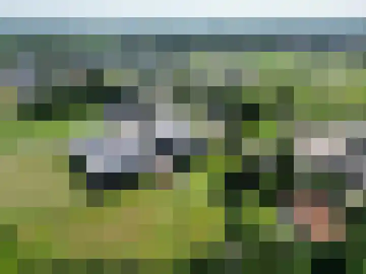 Voederheil 24 Zeeland thumbnail 77