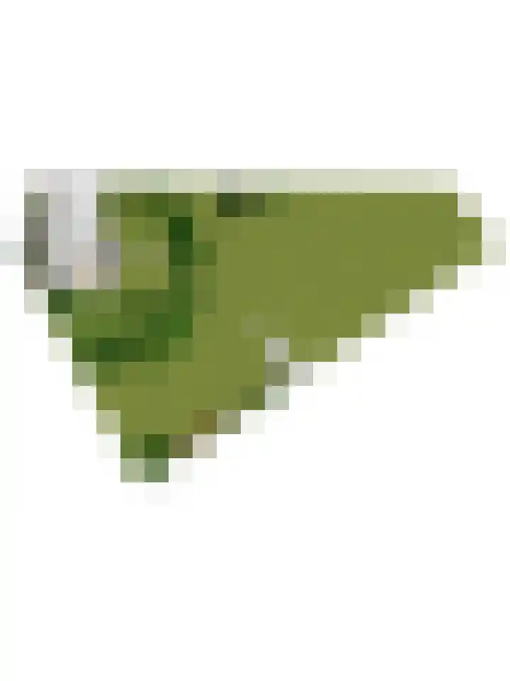 Voederheil 24 Zeeland thumbnail 80
