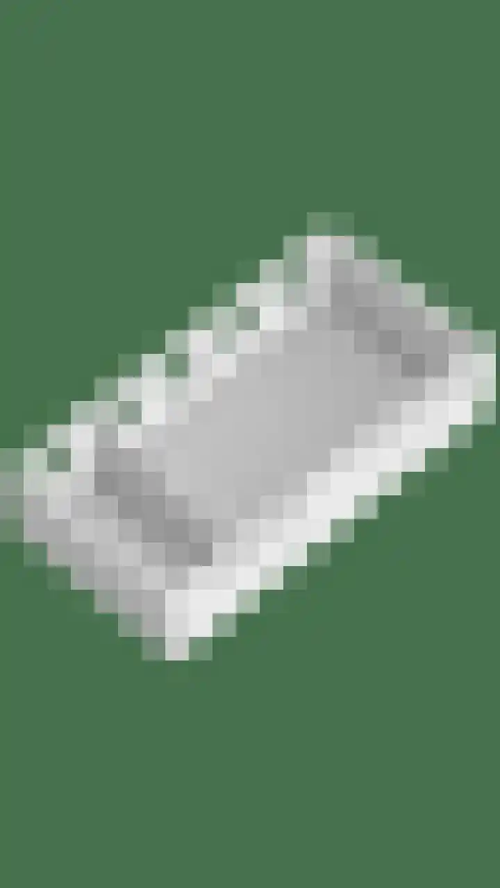 Voederheil 24 Zeeland thumbnail 89