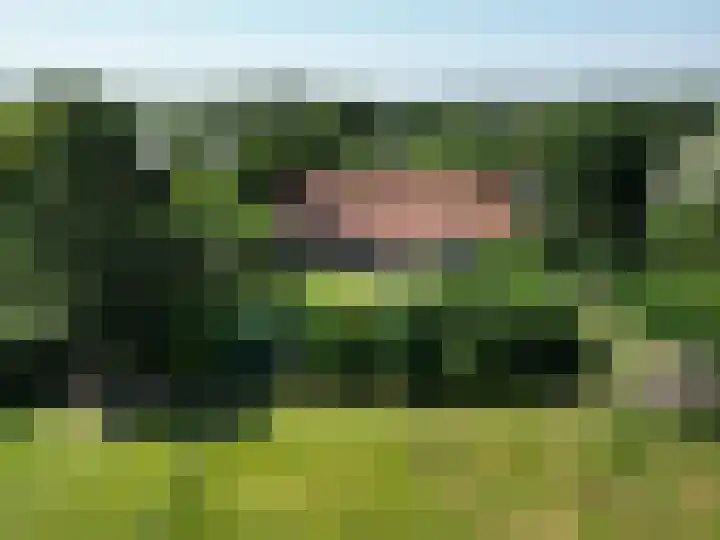 Voederheil 24 Zeeland thumbnail 97