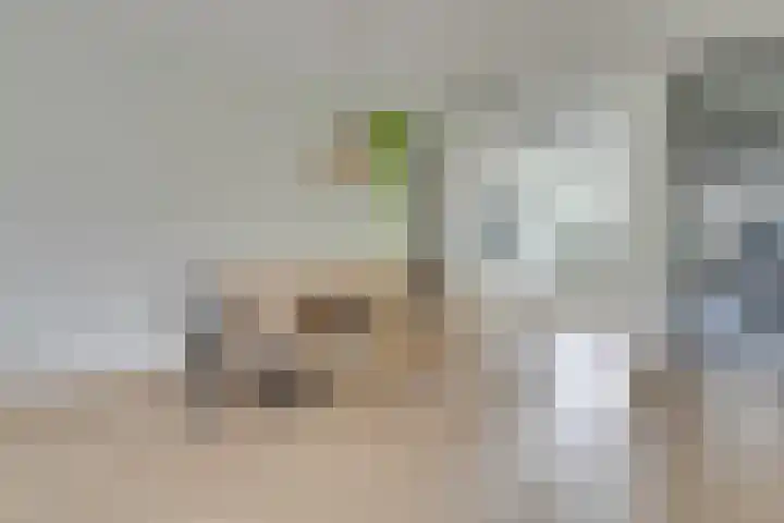 Voedselbos Rijnvliet 16 Utrecht thumbnail 11