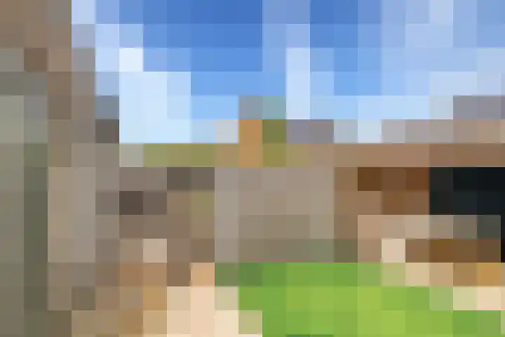 Voedselbos Rijnvliet 16 Utrecht thumbnail 18