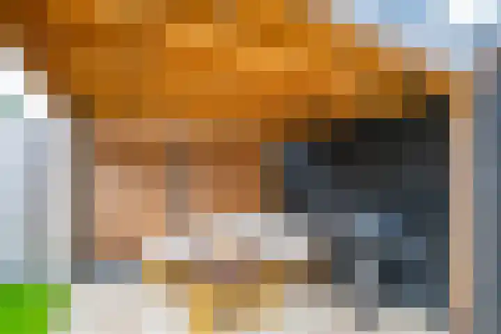 Voedselbos Rijnvliet 16 Utrecht thumbnail 20
