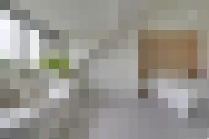 Voedselbos Rijnvliet 16 Utrecht thumbnail 34