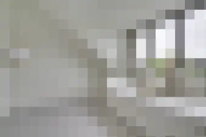 Voedselbos Rijnvliet 16 Utrecht thumbnail 37