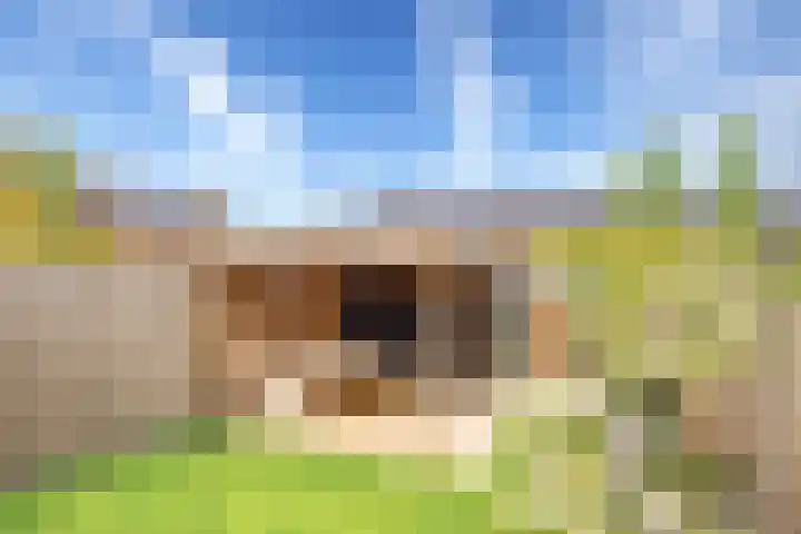 Voedselbos Rijnvliet 16 Utrecht thumbnail 4