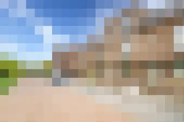Voedselbos Rijnvliet 16 Utrecht thumbnail 42