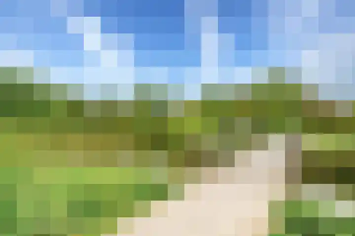Voedselbos Rijnvliet 16 Utrecht thumbnail 44