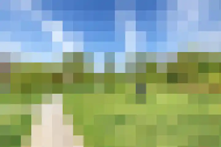 Voedselbos Rijnvliet 16 Utrecht thumbnail 45
