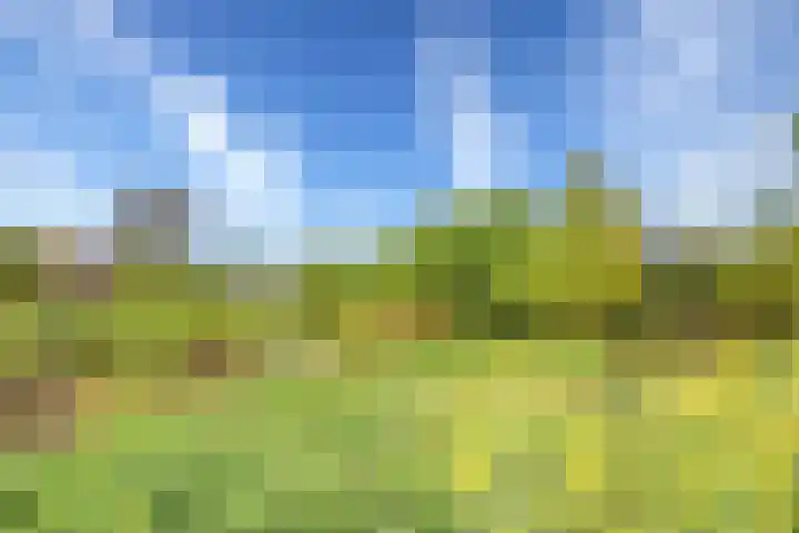 Voedselbos Rijnvliet 16 Utrecht thumbnail 46