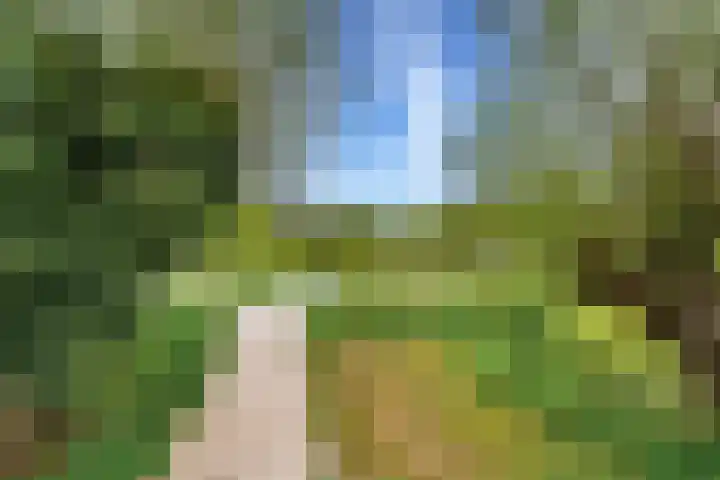 Voedselbos Rijnvliet 16 Utrecht thumbnail 47