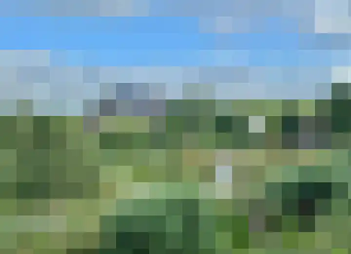 Voedselbos Rijnvliet 16 Utrecht thumbnail 48