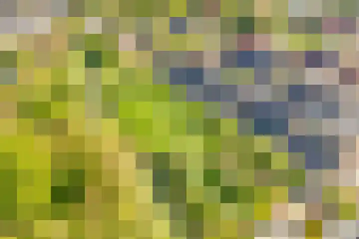 Voedselbos Rijnvliet 16 Utrecht thumbnail 49