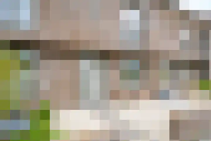 Voedselbos Rijnvliet 16 Utrecht thumbnail 5