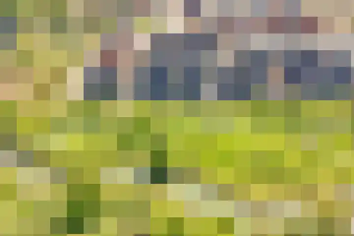 Voedselbos Rijnvliet 16 Utrecht thumbnail 50