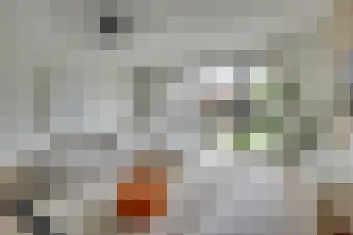 Voedselbos Rijnvliet 16 Utrecht thumbnail 6