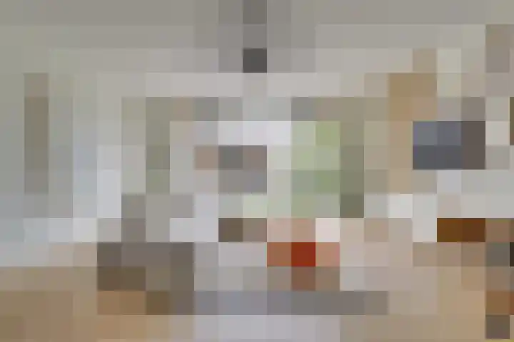 Voedselbos Rijnvliet 16 Utrecht thumbnail 7
